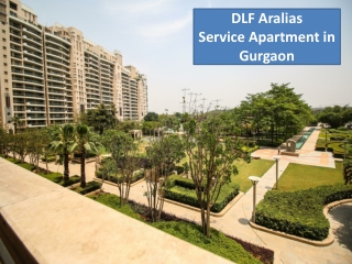 Service Apartment for Rent in Gurgaon - DLF Aralias