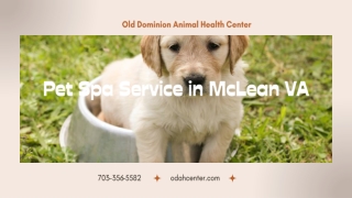 Pet Spa Service in McLean VA