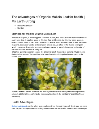 The advantages of Organic Mullein Leaf for health _ My Earth Strong (1)