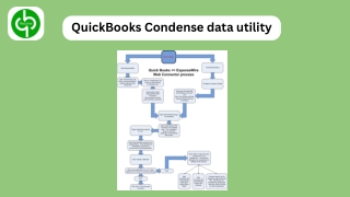 QuickBooks Condense data utility