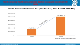 North America Healthcare Analytics Market is predicted to witness over 19.8% CAG