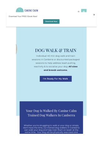 Affordable Dog Walkers in Canberra