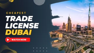 Cheapest Trade License in Dubai | UAE [ 2023 Guide ]