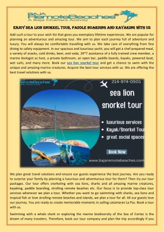 Enjoy sea lion snorkel tour, Paddle boarding and Kayaking with us 