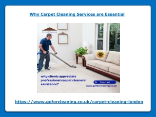 Why Carpet Cleaning Services are Essential