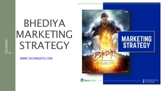 Bhadiya marketing strategy |Techmojito