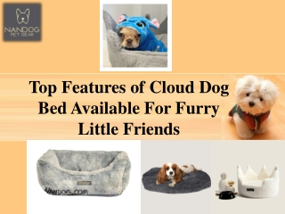 Top Features of Cloud Dog Bed Available For Furry Little Friends