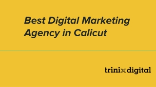 Best Digital Marketing Agency in Calicut