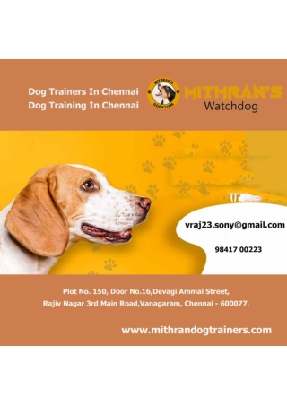 Dog Trainers In Chennai