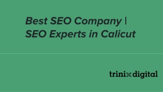 Best SEO Company _ SEO Experts in Calicut