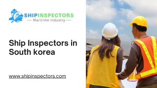 Ship Inspectors in South korea