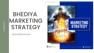 Bhadiya marketing strategy  |Techmojito