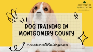 Dog Training in Montgomery County – Advanced K9 Training