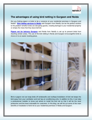 Bird Netting Services in Noida