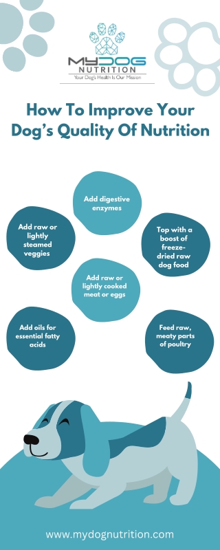 How To Improve Your Dog’s Quality Of Nutrition