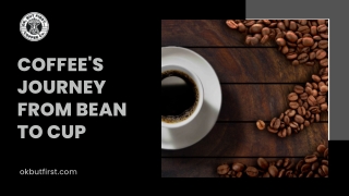 Live The Joy From Coffee Beans To Your Favorite Cup Of Coffee
