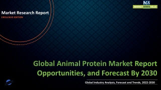 Animal Protein Market to Reach US$ 8,240,786.1 million by 2030