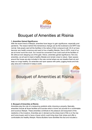 Bouquet of Amenities at Risinia