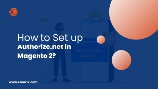 How to Set up Authorize.net in Magento 2?