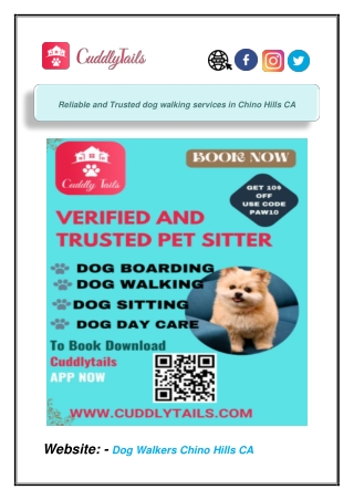 Reliable and Trusted dog walking services in Chino Hills CA