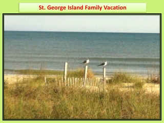 St. George Island Family Vacation