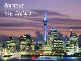 Beauty of New Zealand