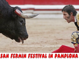 San Fermin Festival in Pamplona 2011 (SPAIN)-part 2