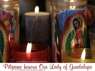 Pilgrims Honor Our Lady of Guadalupe (2011)