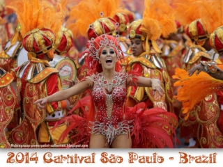 2014 Brazil Carnival São Paulo (1)