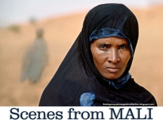 Scenes from MALI