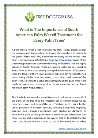 What is The Importance of South American Palm Weevil Treatment for Every Palm