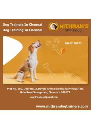 Dog Trainers In Chennai