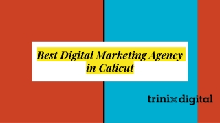 Best Digital Marketing Agency in Calicut