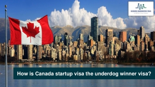 How is Canada startup visa the underdog winner visa?