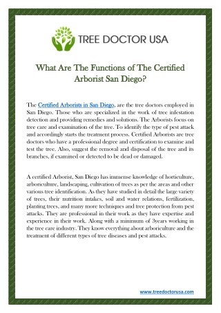 What Are The Functions of The Certified Arborist San Diego