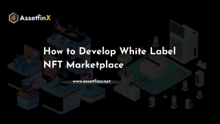 How to Develop White Label NFT Marketplace