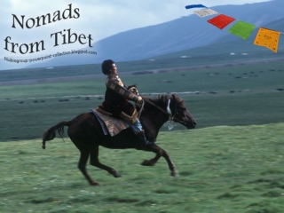 Nomads of Tibet