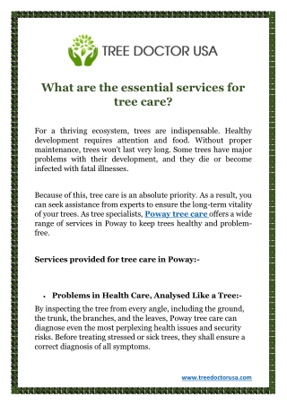 What are the essential services for tree care