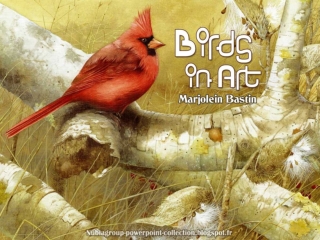 Birds in Art part 2 (MB)