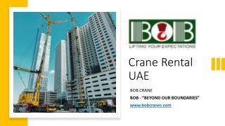 Crane Rental UAE