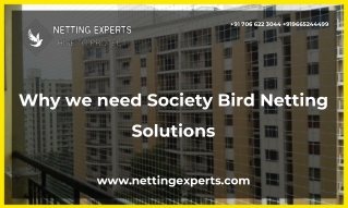 Why we need Society Bird Netting Solutions