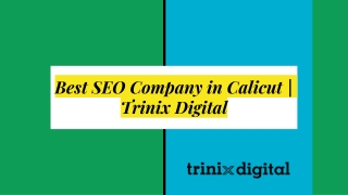 Best SEO Company in Calicut | Trinix Digital