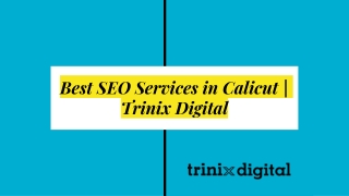 Best SEO Services in Calicut | Trinix Digital