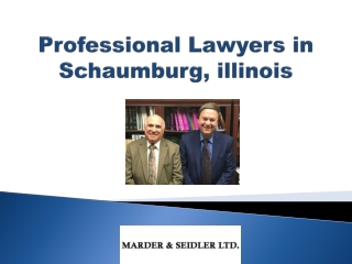 Professional Lawyers in Schaumburg, illinois-Marder and Seidler