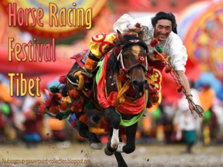 TIBET Horse Racing Festival