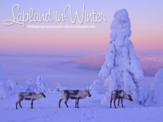 LAPLAND in Winter