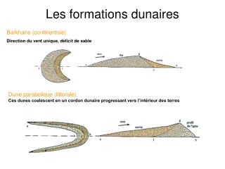 Les formations dunaires