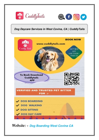 Dog Daycare Services in West Covina, CA | CuddlyTails