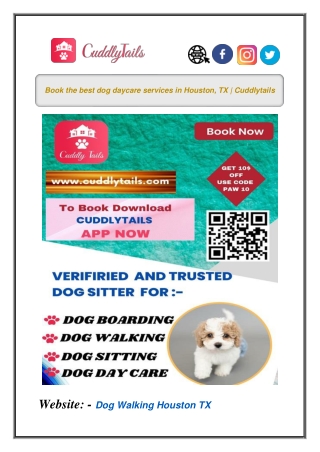 Book the best dog daycare services in Houston, TX | Cuddlytails