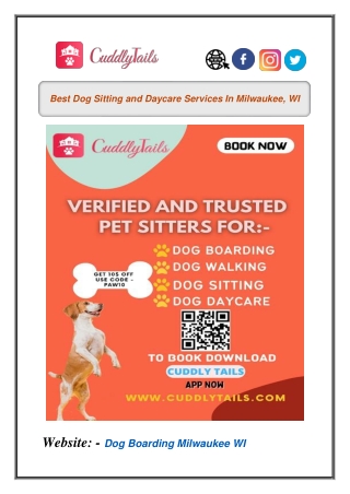 Best Dog Sitting and Daycare Services In Milwaukee, WI